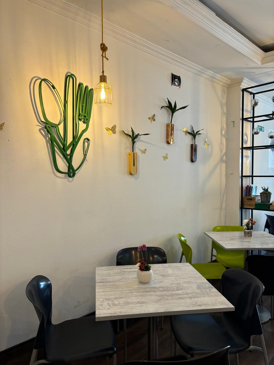 WhatsApp Image 2024-08-24 at 1.27.24 PM (3)